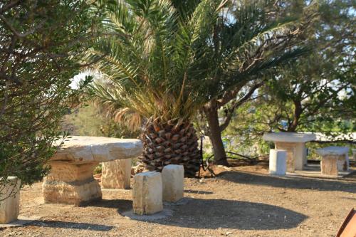 Gallery image of Agerino in Moutsouna Naxos