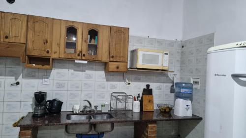 cocina con fregadero y microondas en Casa de huéspedes Los Andes en Luján de Cuyo