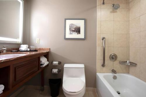 a bathroom with a toilet and a sink and a tub at Sheraton Niagara Falls in Niagara Falls