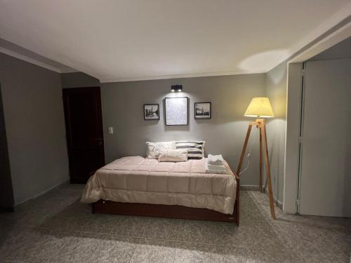 a bedroom with a bed and a lamp at Departamento frente a plaza libertad 1hab in Santiago del Estero