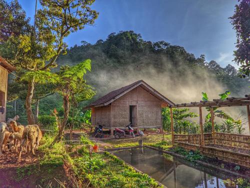 une petite maison au milieu d'une forêt dans l'établissement Farmstay Manangel, à Sindanglaka