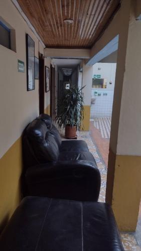a living room with a leather couch and a plant at hotel valparaiso in Ipiales
