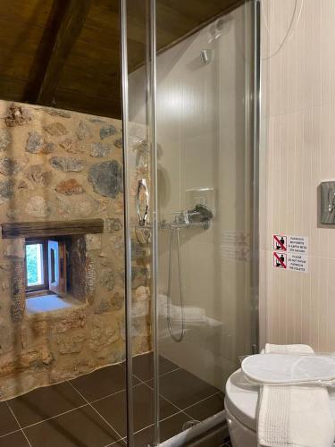 a bathroom with a shower and a toilet at Archontiko Chioti in Leonidion