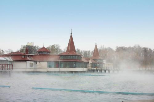 ヘーヴィーズにあるValéria Vendégház Hévízの水中の建物