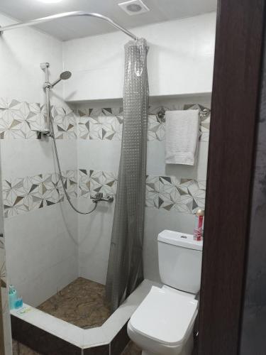 La salle de bains est pourvue d'une douche et de toilettes. dans l'établissement Отличная квартира в центре Ванадзора, à Vanadzor
