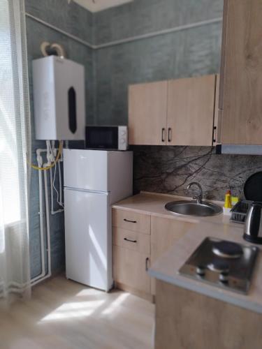 a small kitchen with a refrigerator and a sink at Отличная квартира в центре Ванадзора in Vanadzor