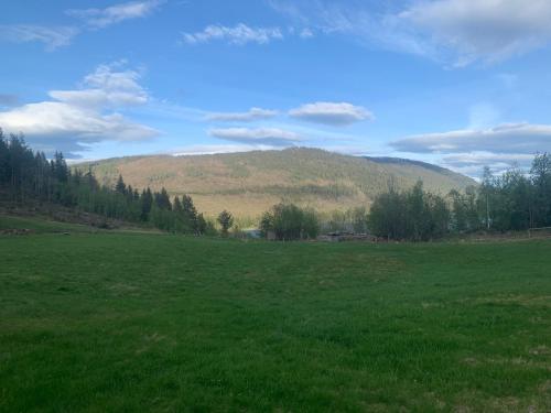 um grande campo verde com uma montanha ao fundo em Tuddal - Lynnidalen Apartment em Tuddal