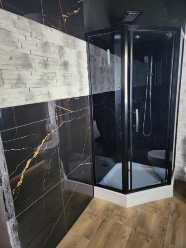 a bathroom with a glass shower with a toilet at Leśny chillout in Solina