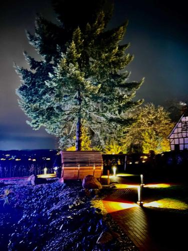 a park bench in front of a tree at night at DRIEHOF LifeStyle Suite Apt 1 in Tecklenburg