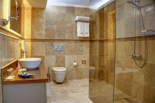 a bathroom with a shower and a toilet and a sink at Four Mansions Hotel in Kayseri