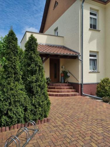 a house with two trees and a bench in front of it at Ferienwohnung *Zur Weinbergstraße* in Lauta