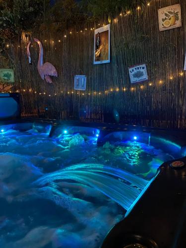 d'un bain à remous avec un flamant rose et des lumières. dans l'établissement La Paillère chambres d hôtes, à Mus