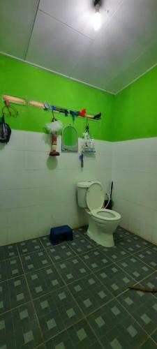 a green bathroom with a toilet and a green wall at Homestay Hamdan in Bagan Pulau Betung