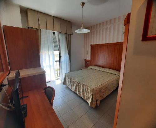 Schlafzimmer mit einem Bett, einem Schreibtisch und einem TV in der Unterkunft Hotel Giada in Silvi Marina