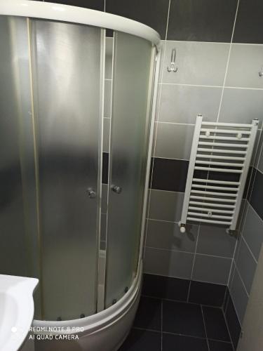 una ducha con puerta de cristal en un baño en Mila lux, en Niš
