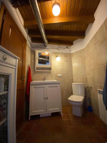 a bathroom with a white toilet and a sink at Casa Tincana in Bebbio