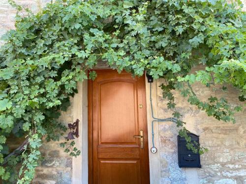 a wooden door in a stone wall with ivy at Casa Tincana in Bebbio