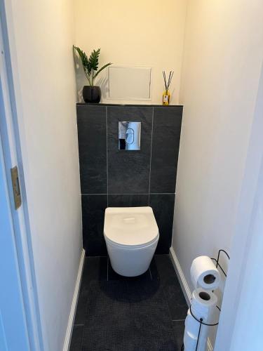 een badkamer met een toilet en een zwart betegelde muur bij Hugo in Jēkabpils