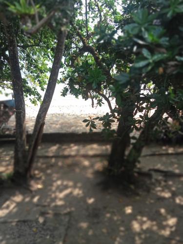 Φωτογραφία από το άλμπουμ του CONDOMINIUM LIPPO PANTAI CARITA σε Carita