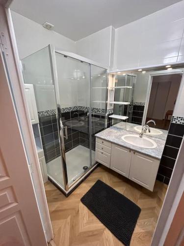 une salle de bain avec une douche en verre et un lavabo dans l'établissement Grand Cru * Magnifique Duplex au cœur d’Epernay, à Épernay