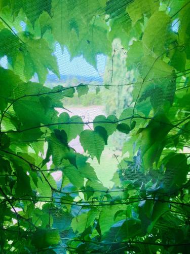 Locanda di Santantimo – Photos 5