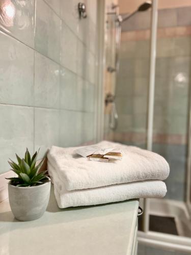 a bathroom with a shower and a towel and a plant at V HOME in Biella