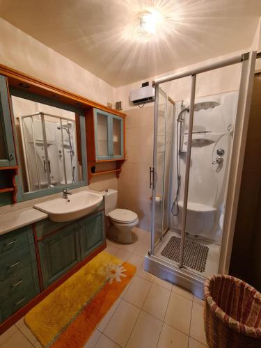 a bathroom with a shower and a sink and a toilet at La Villetta di Oulx in Oulx