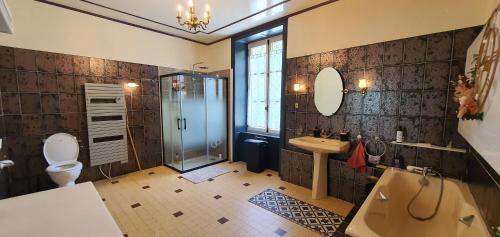 a bathroom with a shower and a toilet and a sink at Manoir de Saint Ouen 