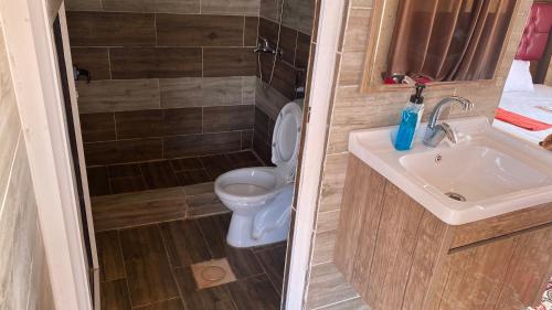 a bathroom with a toilet and a sink at Wadi Rum Khalid luxury camp in Wadi Rum