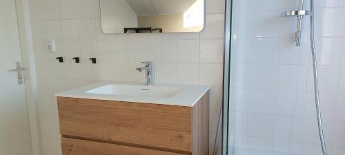 een badkamer met een wastafel en een douche bij Kustverhuur, Park Scheldeveste, Schelde 58 in Breskens