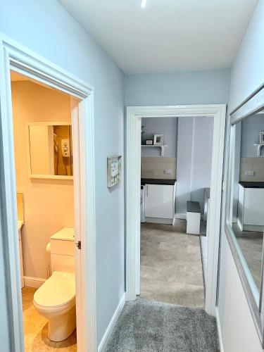 a bathroom with a toilet and a sink at Comfortable City Apartment in Derby