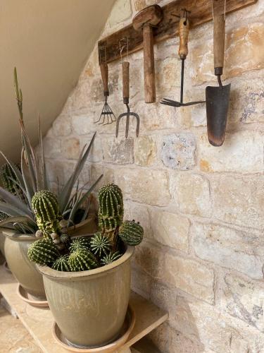two potted plants are sitting on a wall at Endless Blue in Anavissos