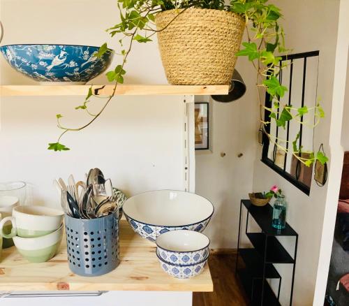 a shelf with bowls and plants on it at Une maison de famille in Oloron-Sainte-Marie