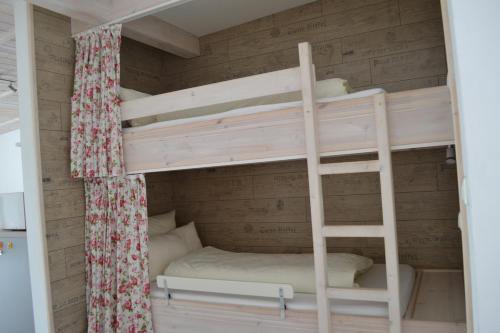 a bunk bed with a ladder in a room at Strandhof Holnis in Glücksburg