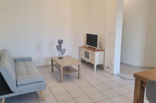 a living room with a couch and a tv at Appartement Toulon 5/6 couchages in Toulon