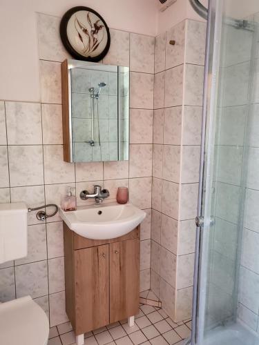 a bathroom with a sink and a shower at Willa Aldona in Jastrzębia Góra