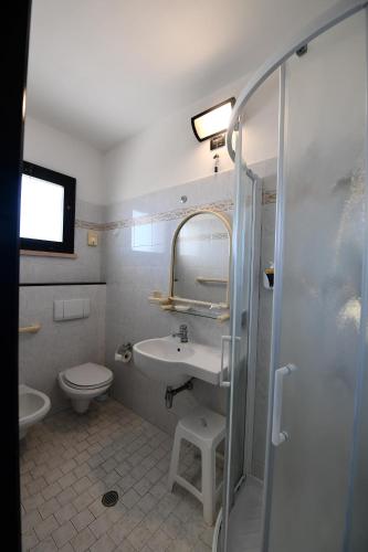 een badkamer met een wastafel, een toilet en een douche bij Hotel Criniera D'oro in Rimini