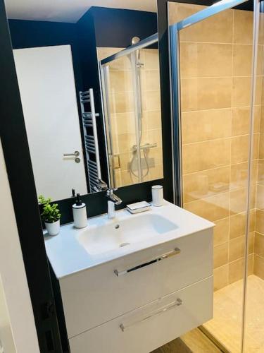 une salle de bain avec un lavabo blanc et une douche dans l'établissement Le Viagio Superbe appartement avec jacuzzi, à Sarlat-la-Canéda
