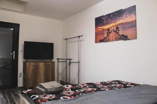 a bedroom with a bed and a flat screen tv at Spinning la Divici in Divici