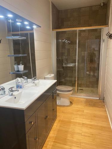 La salle de bains est pourvue d'un lavabo, d'une douche et de toilettes. dans l'établissement Domaine des Ecuries vailley, à Bouleurs