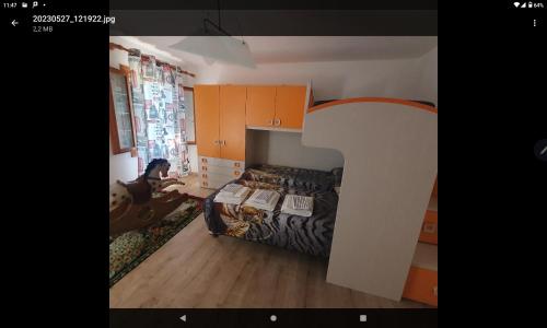 pokój z łóżkiem i psem w nim w obiekcie Villa Nadia w mieście Dolo