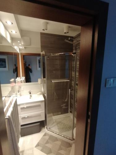 a bathroom with a shower and a sink at Apartament Euro 1 Bytom in Bytom