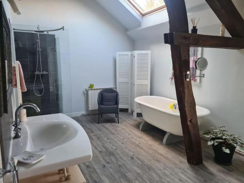 ein Badezimmer mit einer Badewanne, einem Waschbecken und einer Badewanne in der Unterkunft L'Isatis du Châtain Gîte premium grande capacité 15 personnes 