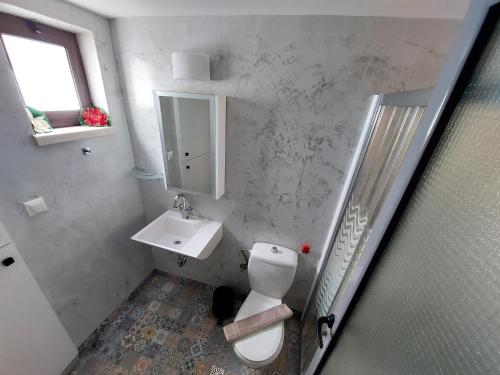 a bathroom with a toilet and a sink and a mirror at Neriana Villa - Garden Paradise in Chania Town