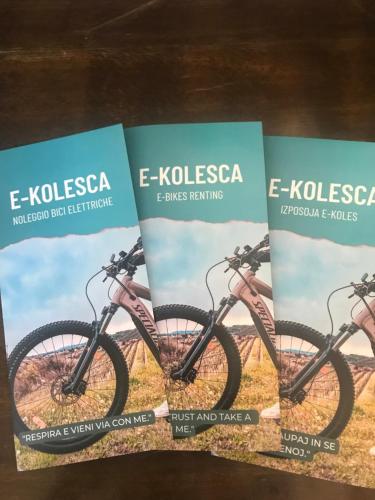 een set van drie flyers voor een mountainbike bij Enam Room in Kojsko