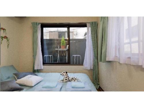 pies siedzący na łóżku przed oknem w obiekcie Cosmo Mercy N-1 / Vacation STAY 12990 w Tokio
