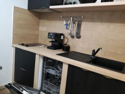 a kitchen counter with a sink and a dishwasher at Relax tiny villas 40 meters of the beach in Korčula