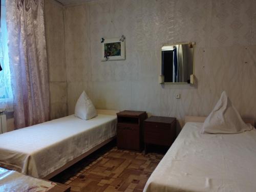 ザポリージャにあるHostel - Avaliani Streetのベッド2台と鏡が備わる客室です。