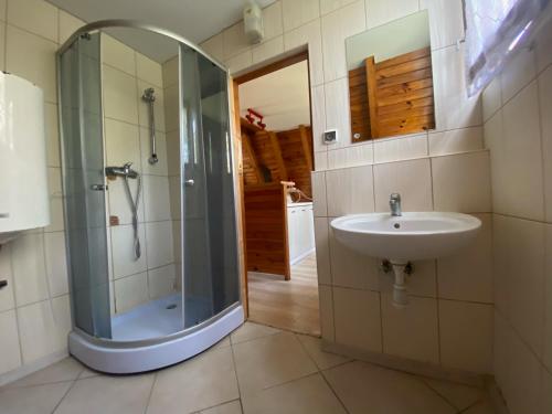 斯蒂格纳Domki Pod Sosnami的浴室配有淋浴和洗手池