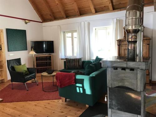 賴因斯貝格的住宿－Waldoase 1，客厅设有绿色沙发和壁炉